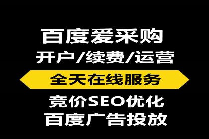竞价推广实战：经典案例深度解析